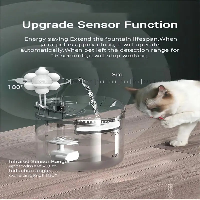 Pet Water Dispenser with Filters - In Paw Store