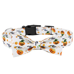 Dog Collars for Your Pets - In Paw Store