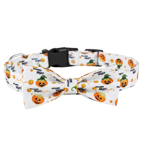 Dog Collars for Your Pets - In Paw Store