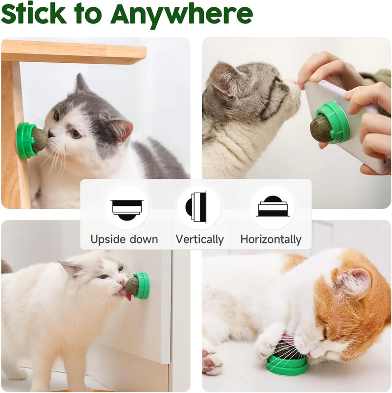 Edible Catnip & Silvervine Ball Toy Set (4 Pcs)