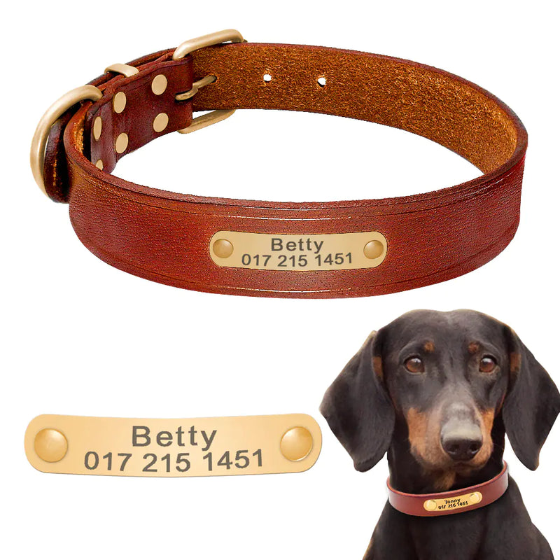 Custom Leather Dog Collars - In Paw Store
