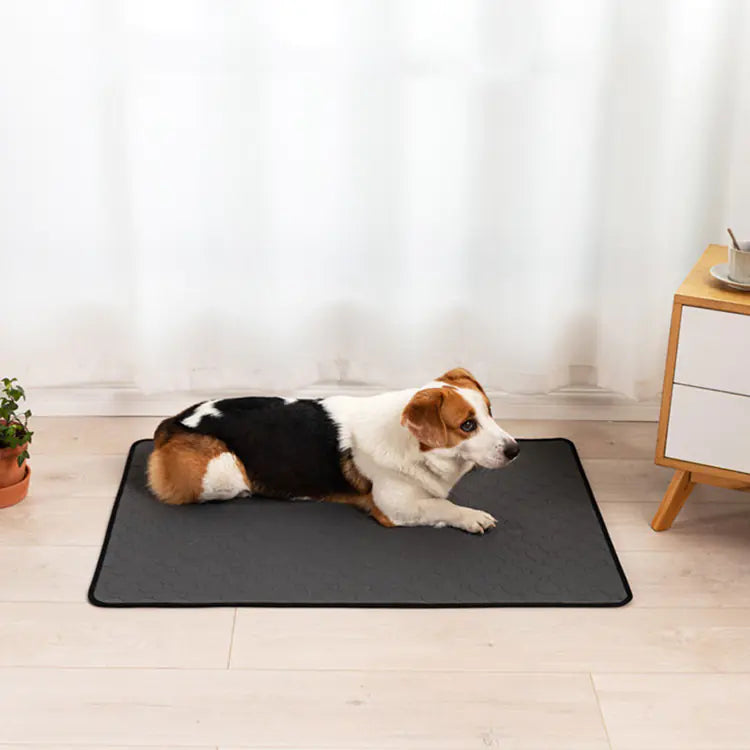 Pet Training Pads - In Paw Store