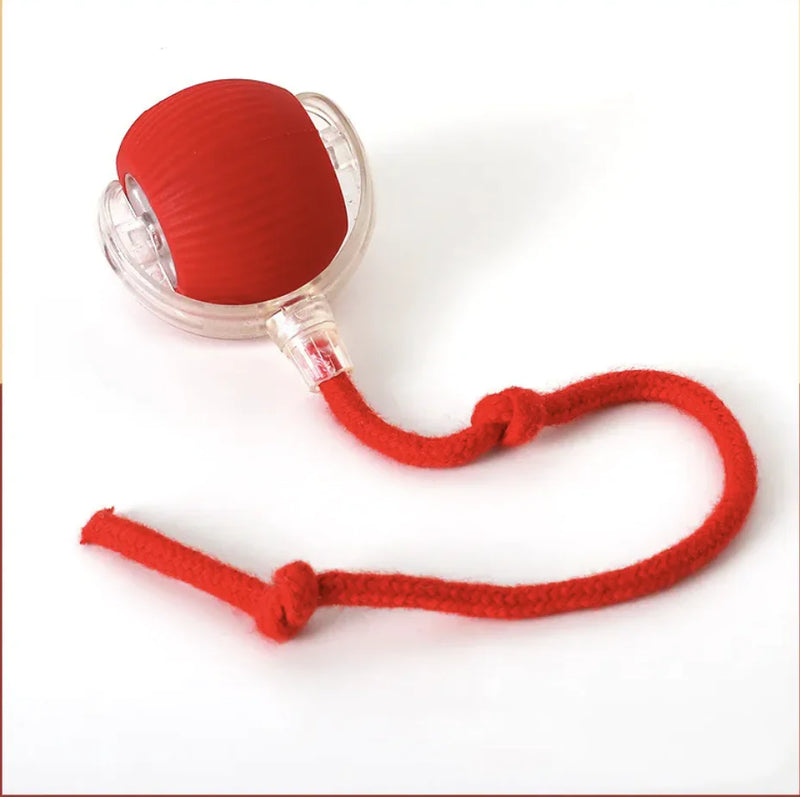 Self-Rolling Cat Toy - In Paw Store