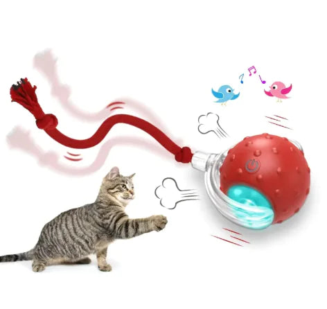 Interactive Cat Toy Ball - In Paw Store