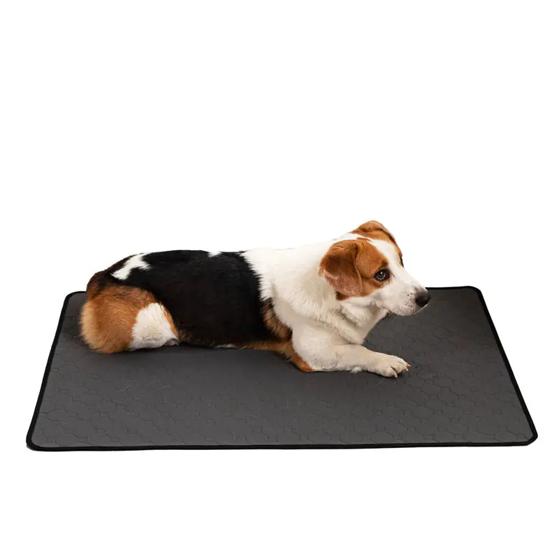 Pet Training Pads - In Paw Store