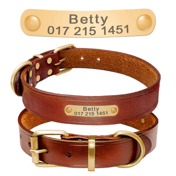 Custom Leather Dog Collars - In Paw Store
