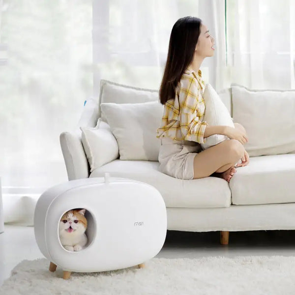 Cat Litter Box - In Paw Store