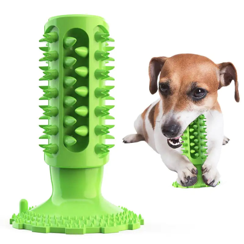 Dog Toothbrush Sucker