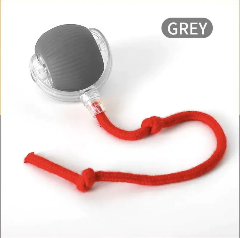 Self-Rolling Cat Toy - In Paw Store