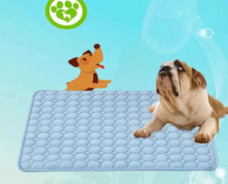 Summer Cooling Pet Mat & Blanket