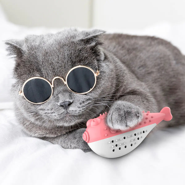 Mint Fish Cat Toy with Toothbrush Chew