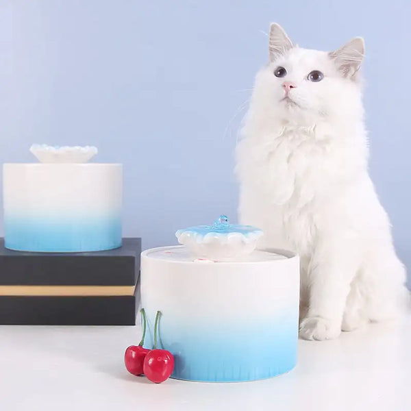 Cat Drinking Fountains - In Paw Store