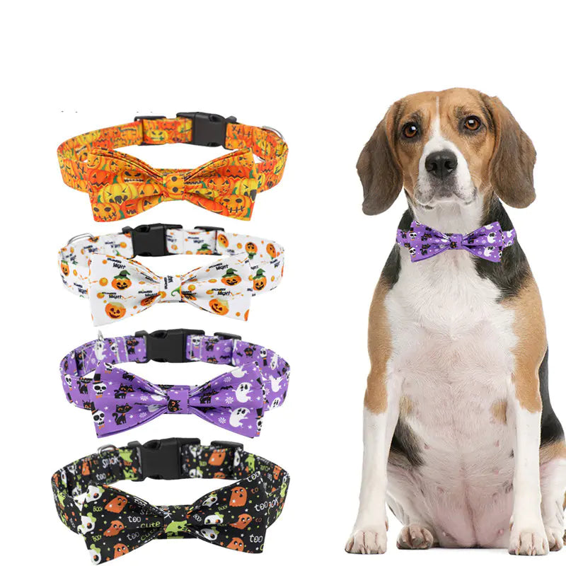 Dog Collars for Your Pets - In Paw Store