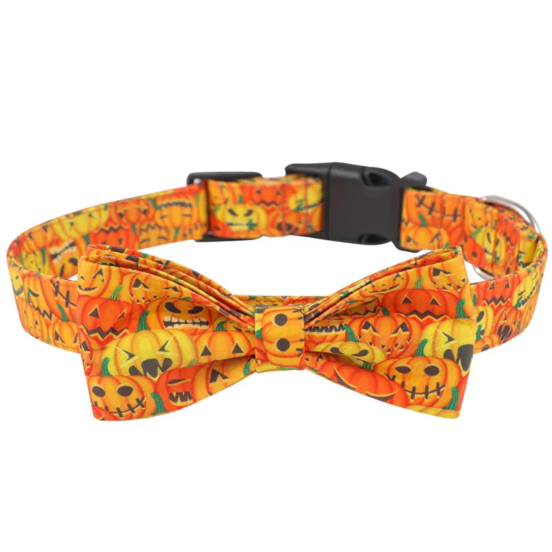 Dog Collars for Your Pets - In Paw Store