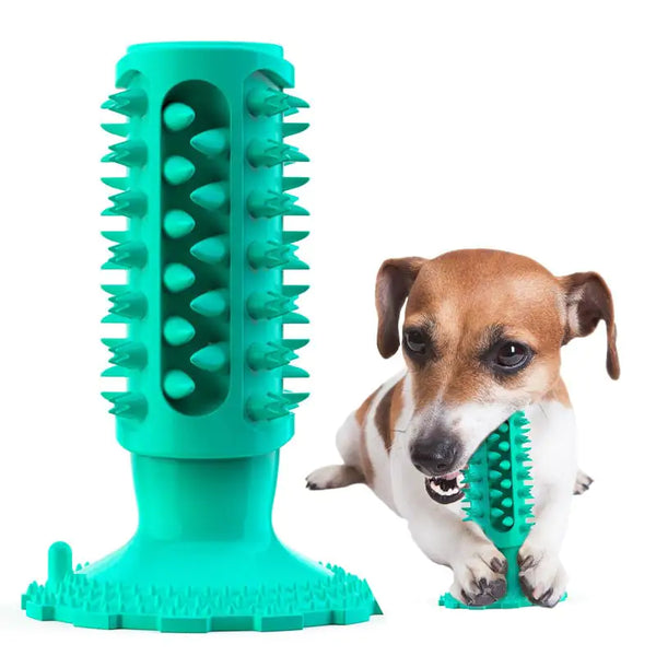 Dog Toothbrush Sucker