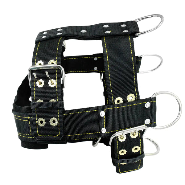 Effective Behavior Training - In Paw Store