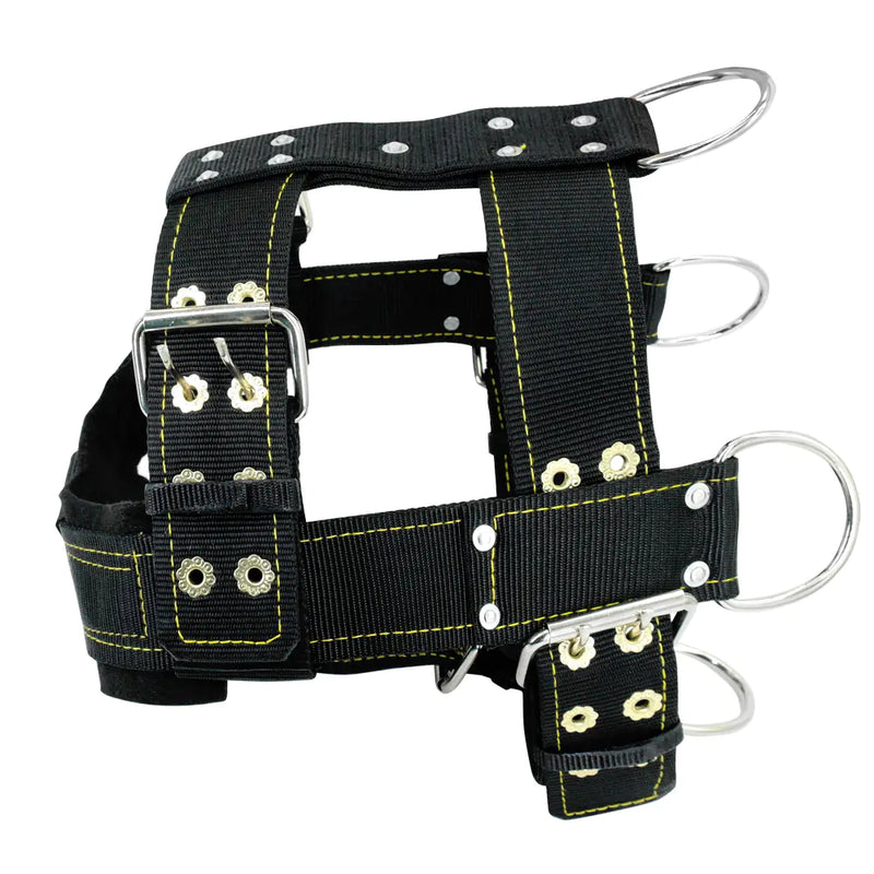 Effective Behavior Training - In Paw Store