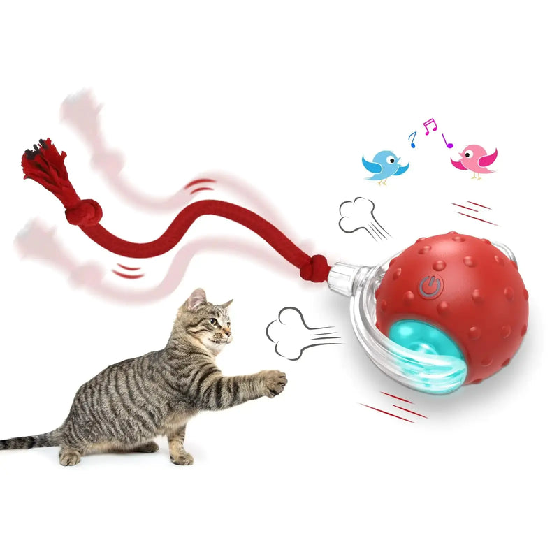 Interactive Cat Toy Ball - In Paw Store