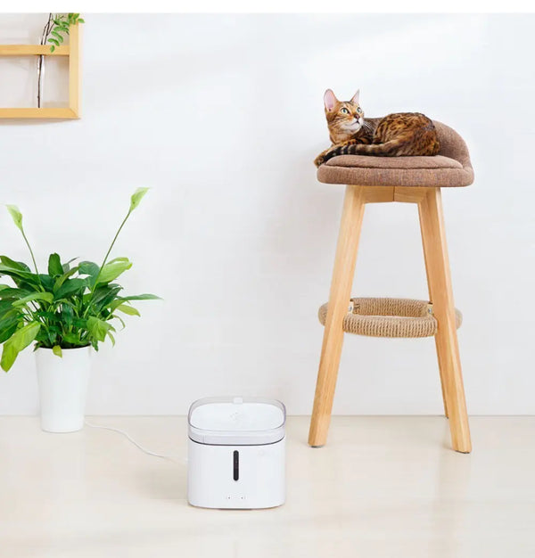 Xiaomi Pet Water Dispenser - In Paw Store