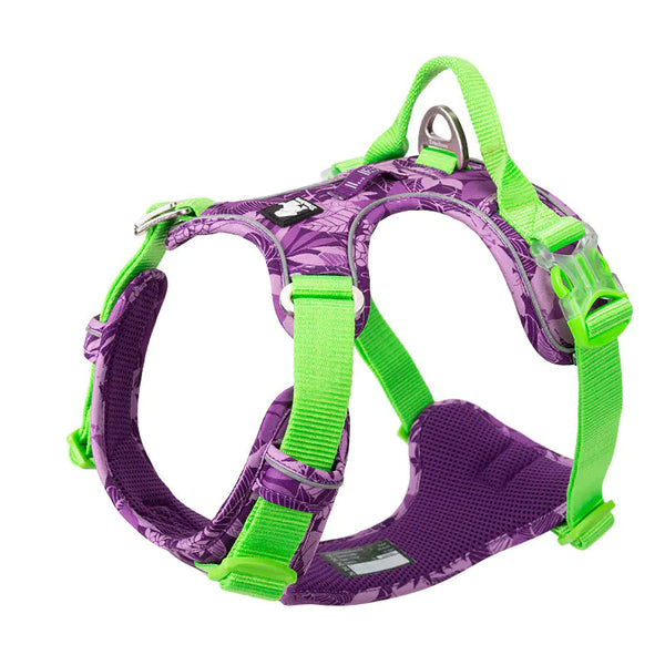 Dog Leashes and Chain Vest Straps - In Paw Store