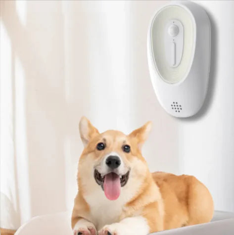 Pet Odor Eliminator for Litter Boxes - In Paw Store