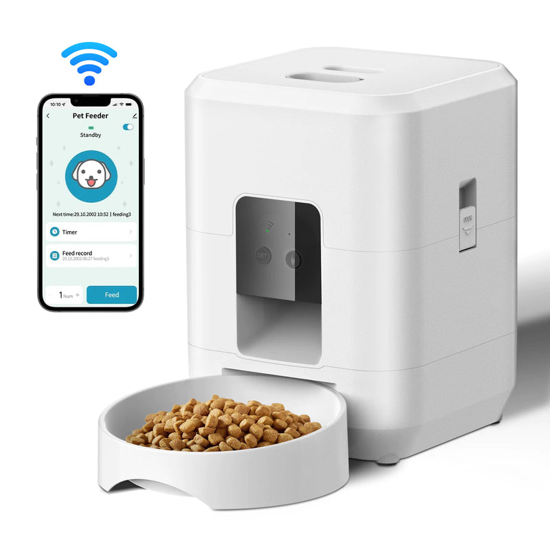Automatic Pet Feeder - In Paw Store