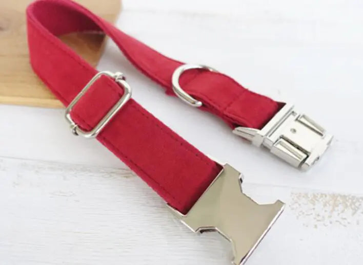 Dog Leash Collar for Pets - In Paw Store