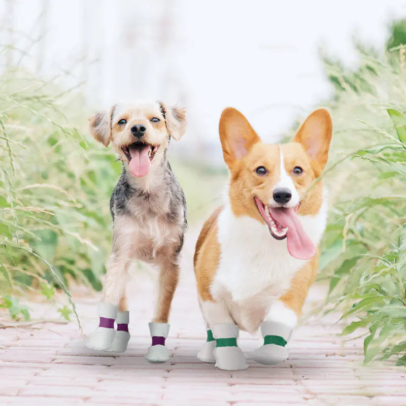 Waterproof Disposable Pet Shoe Covers