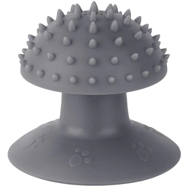 Pet Cat Suction Massager and Goomring Brush