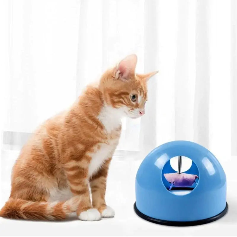 Rotating Cat Toy Interactive Play Disc for Cats - In Paw Store