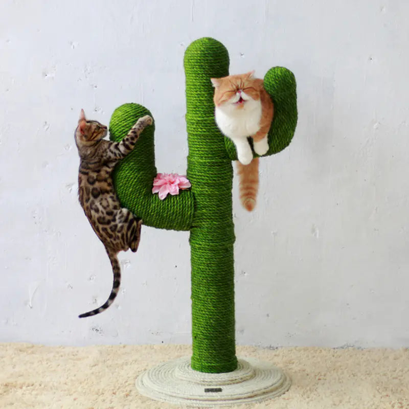 DIY Crafts and Cat Toys (10m) - In Paw Store