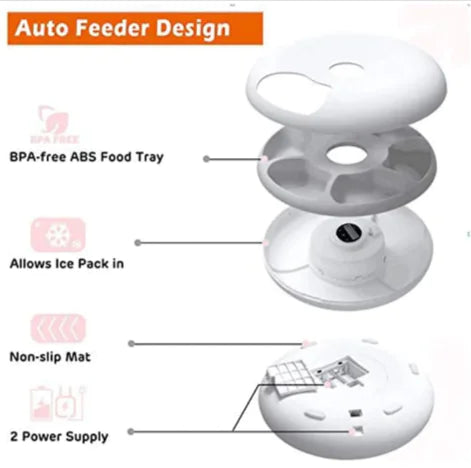 Automatic Pet Feeder for Cats & Dogs - In Paw Store