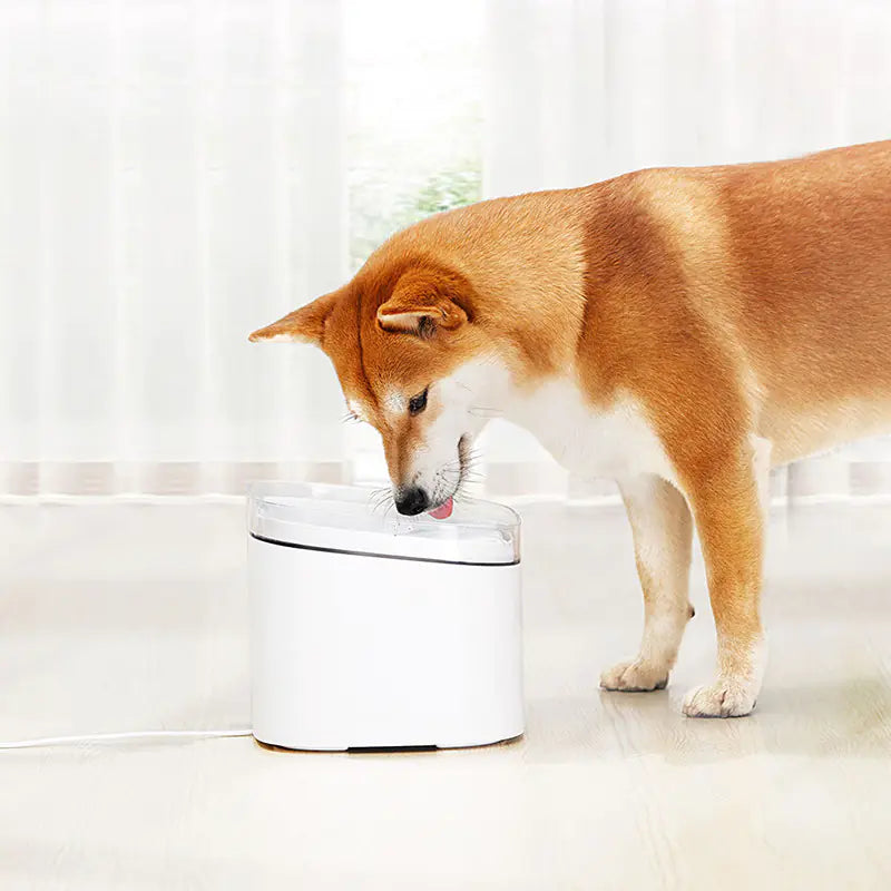 Xiaomi Pet Water Dispenser - In Paw Store