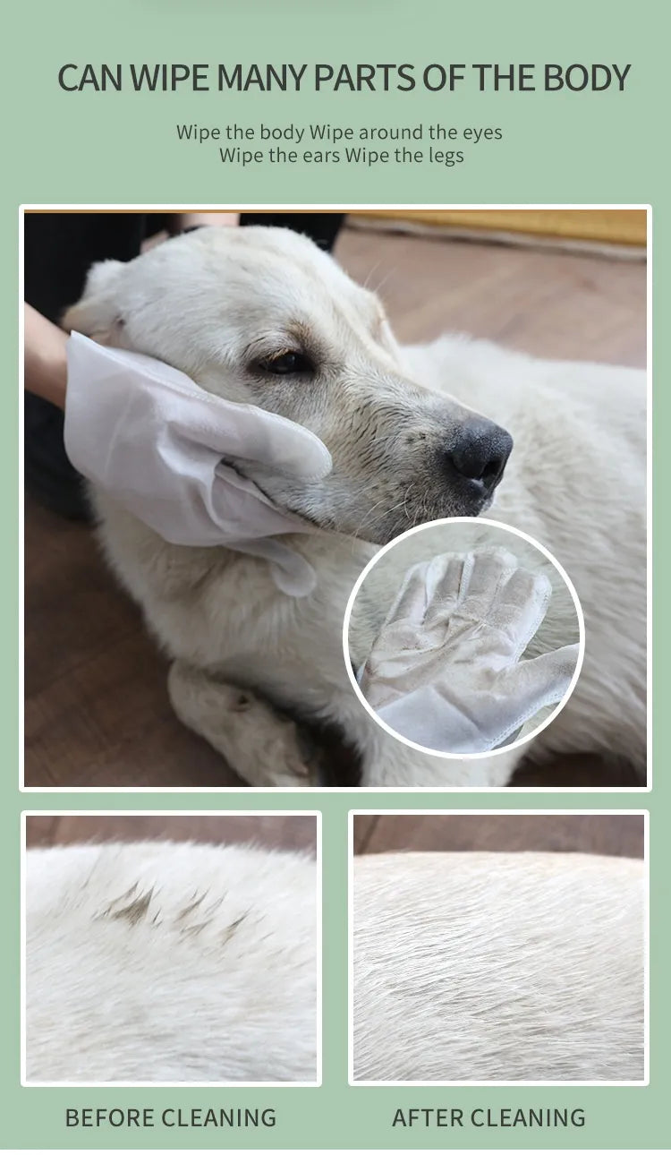 Pet Disposable Cleaning Wet Tissue Gloves