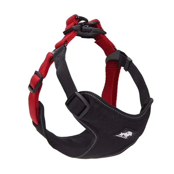 Dog Leash and Collar Set for Walking Your Dog